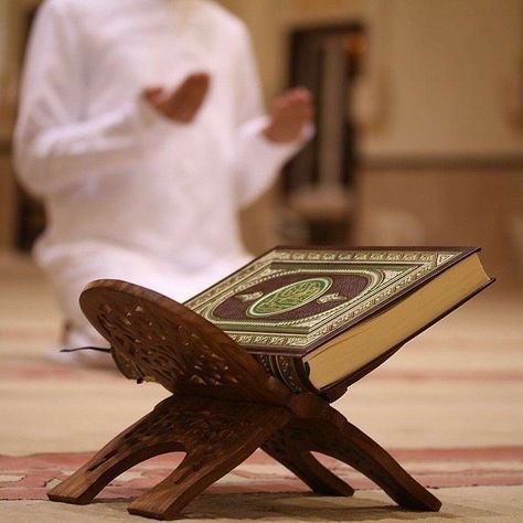 Quran Tajweed Course